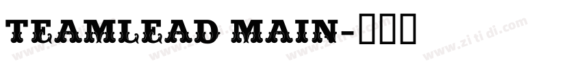 TEAMLEAD MAIN字体转换